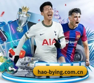 hao-bying.com.cn的方向